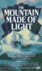 The Mountain Made of Light Contemporary literature