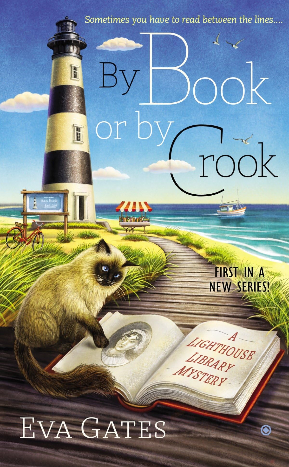 By Book or By Crook (A Lighthouse Library Mystery, Band 1) Contemporary literature