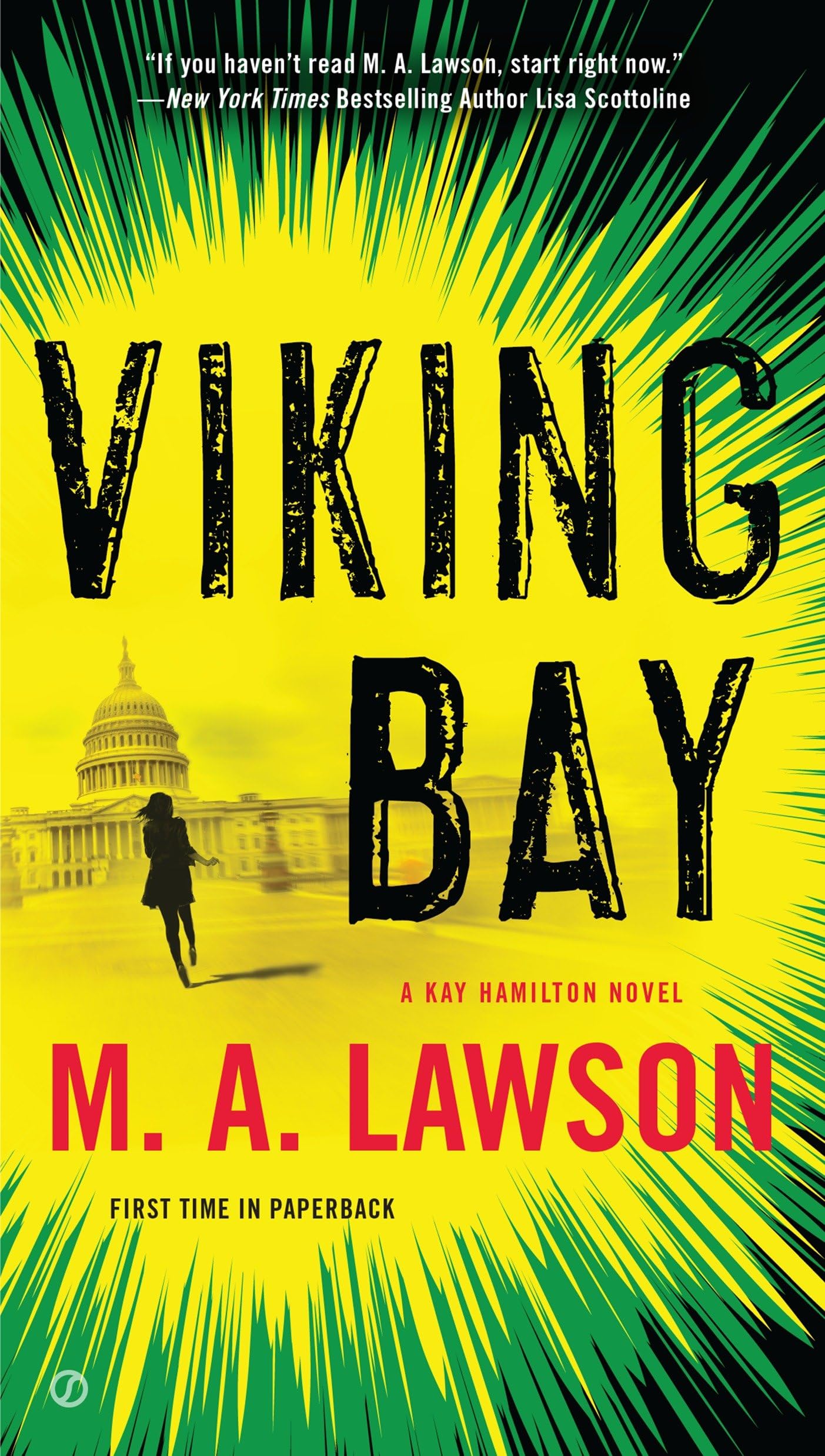 Viking Bay: A Kay Hamilton Novel Action & Adventure