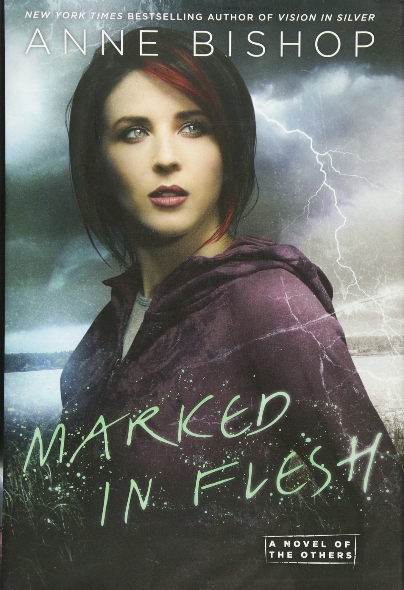 Marked In Flesh: A Novel of the Others (Others, 4, Band 4) Dark Fantasy