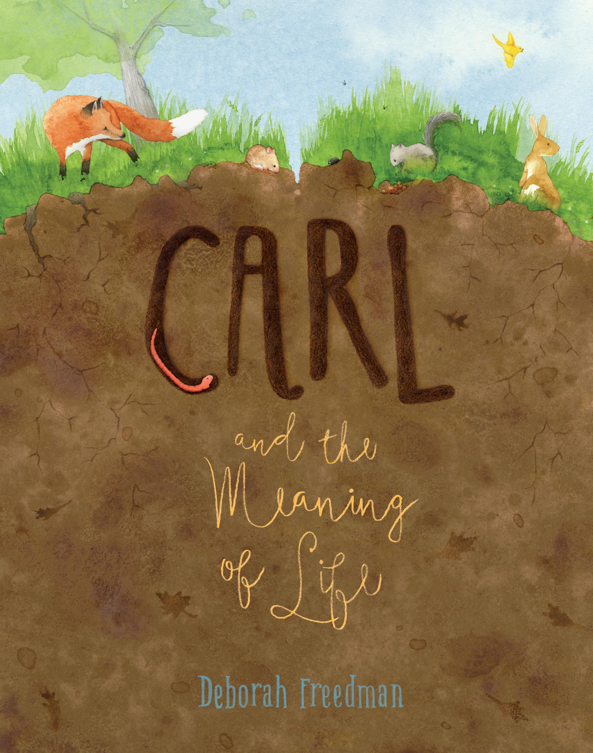 Carl and the Meaning of Life Non-fiction
