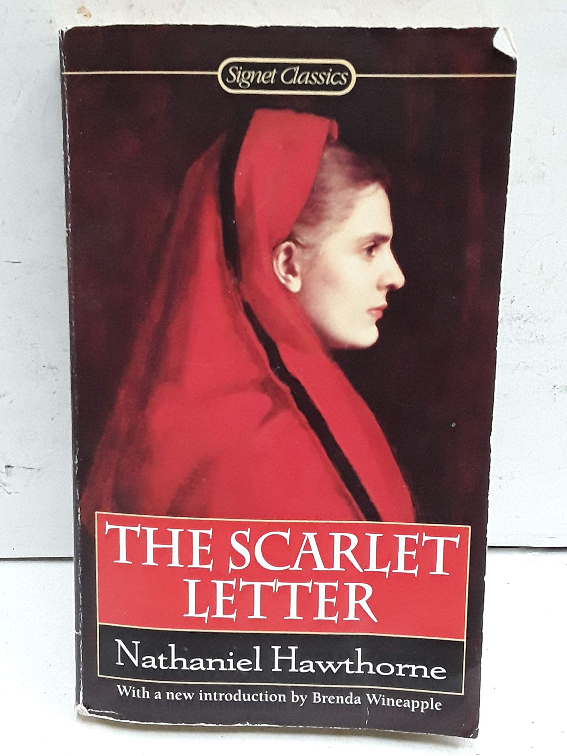 Product Image: The Scarlet Letter