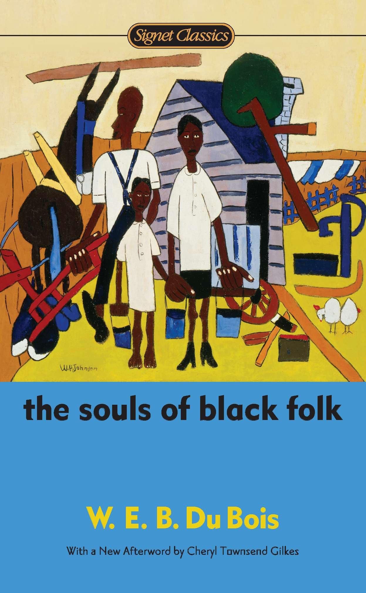 The Souls of Black Folk book