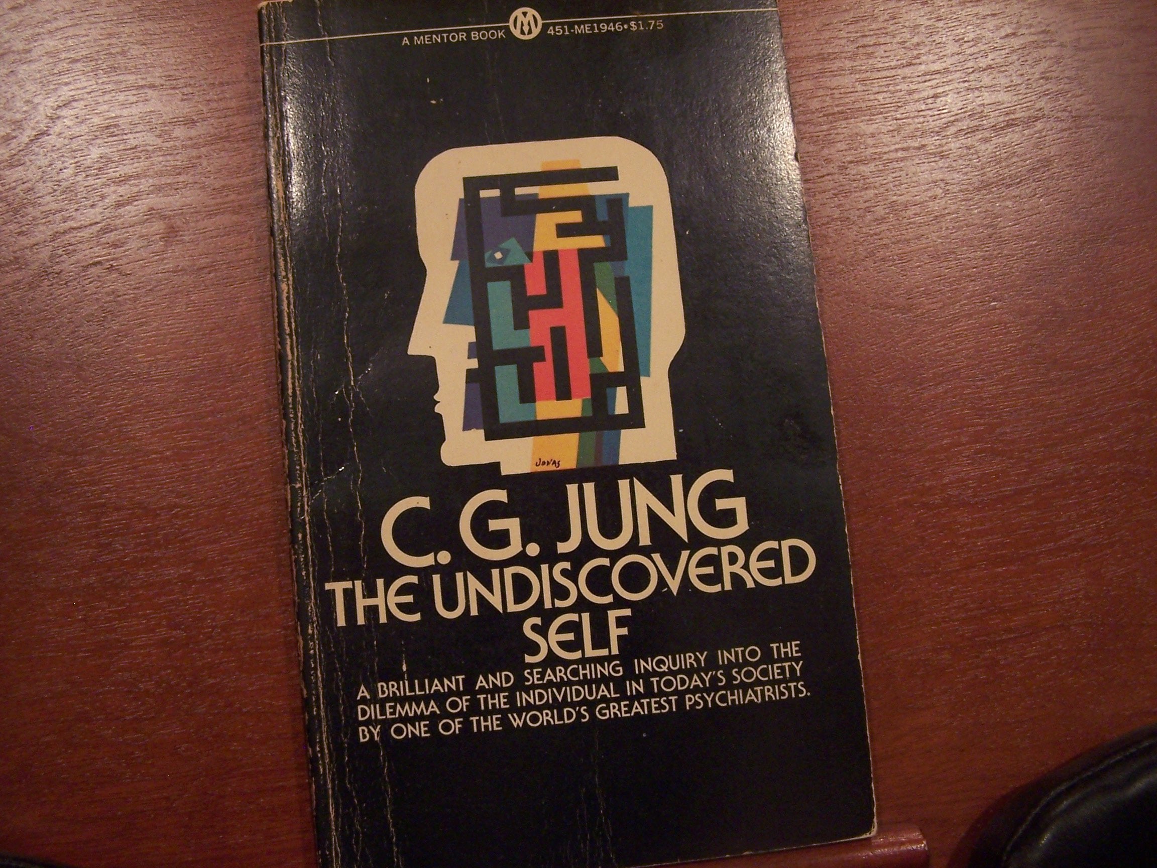 The Undiscovered Self Psychology Books