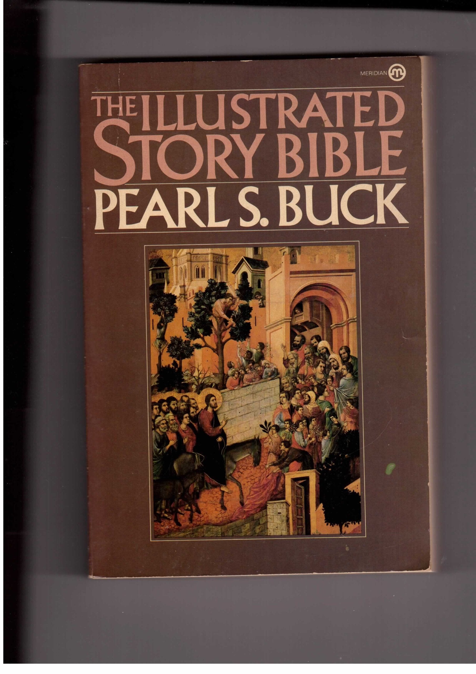 Illustrated Story Bible Religion & Esotericism