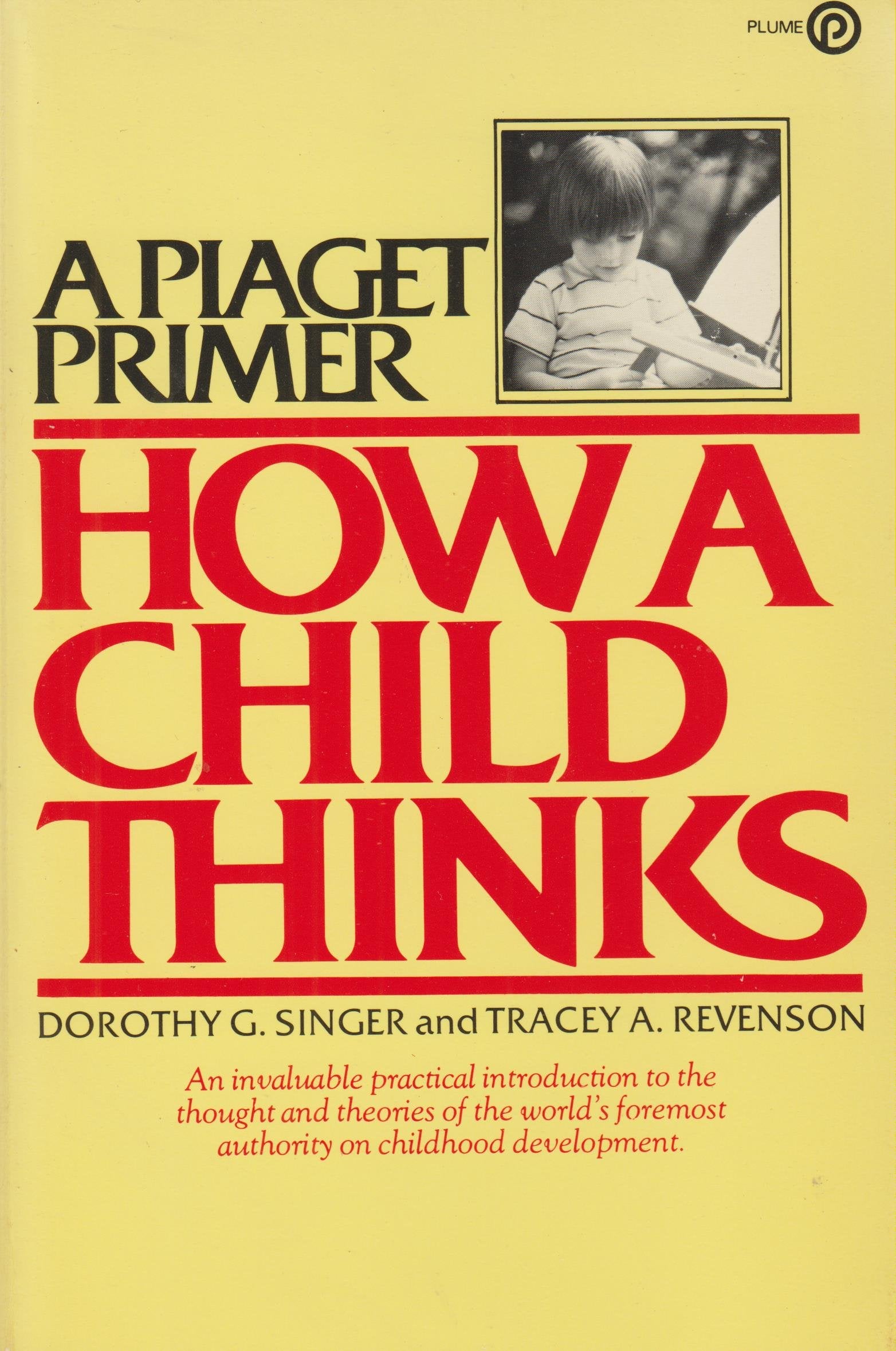 A Piaget Primer: How a Child Thinks Books