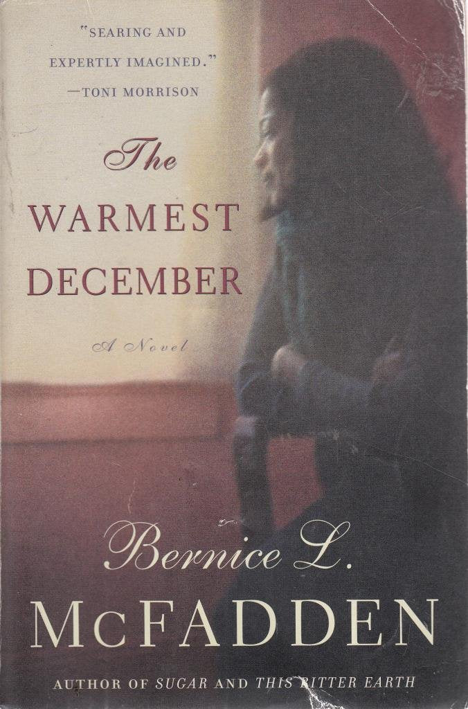 Product Image: The Warmest December
