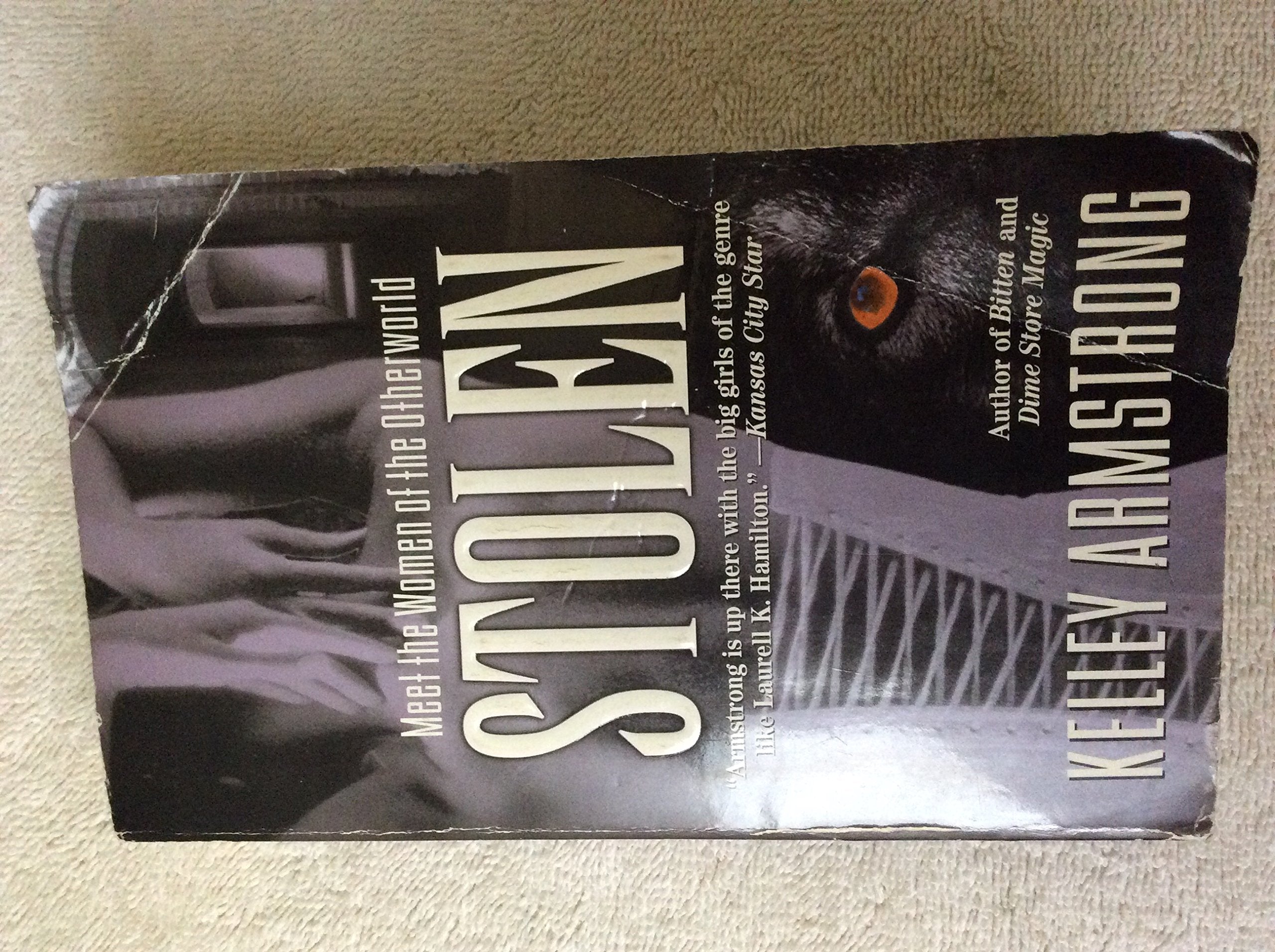 Stolen (Women of the Otherworld, Band 2) Horror & Mystery