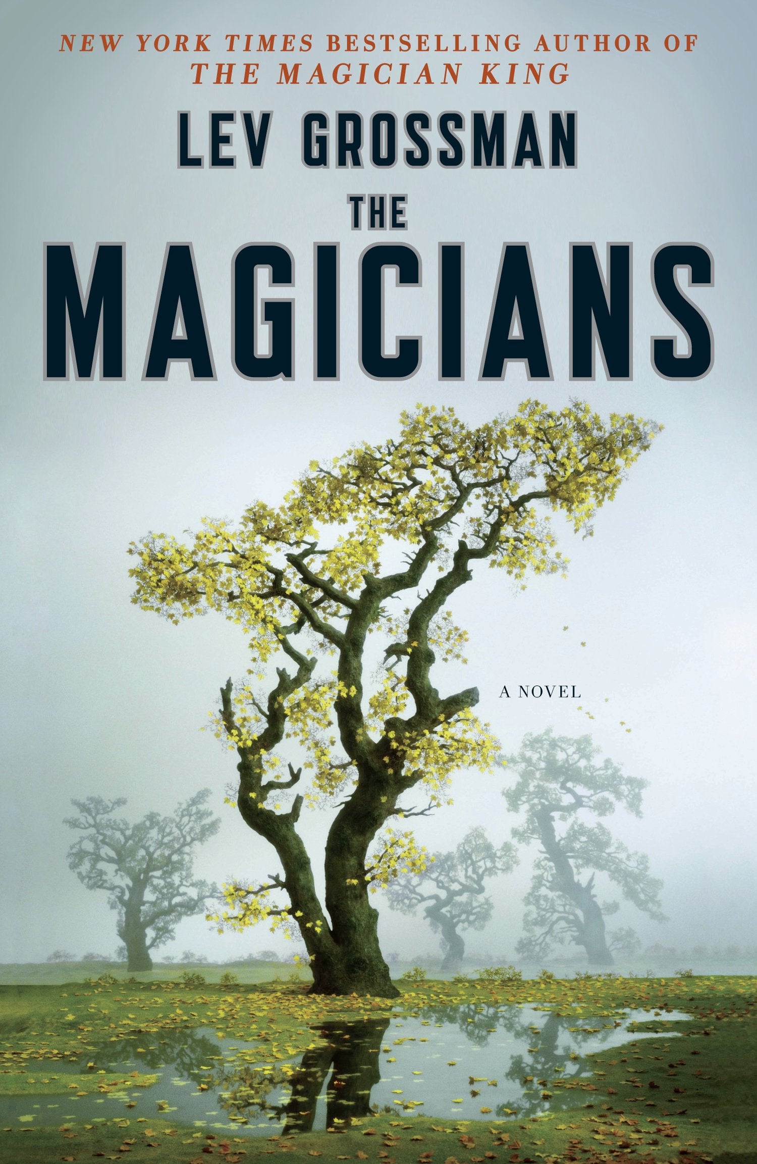 Product Image: The Magicians: A Novel