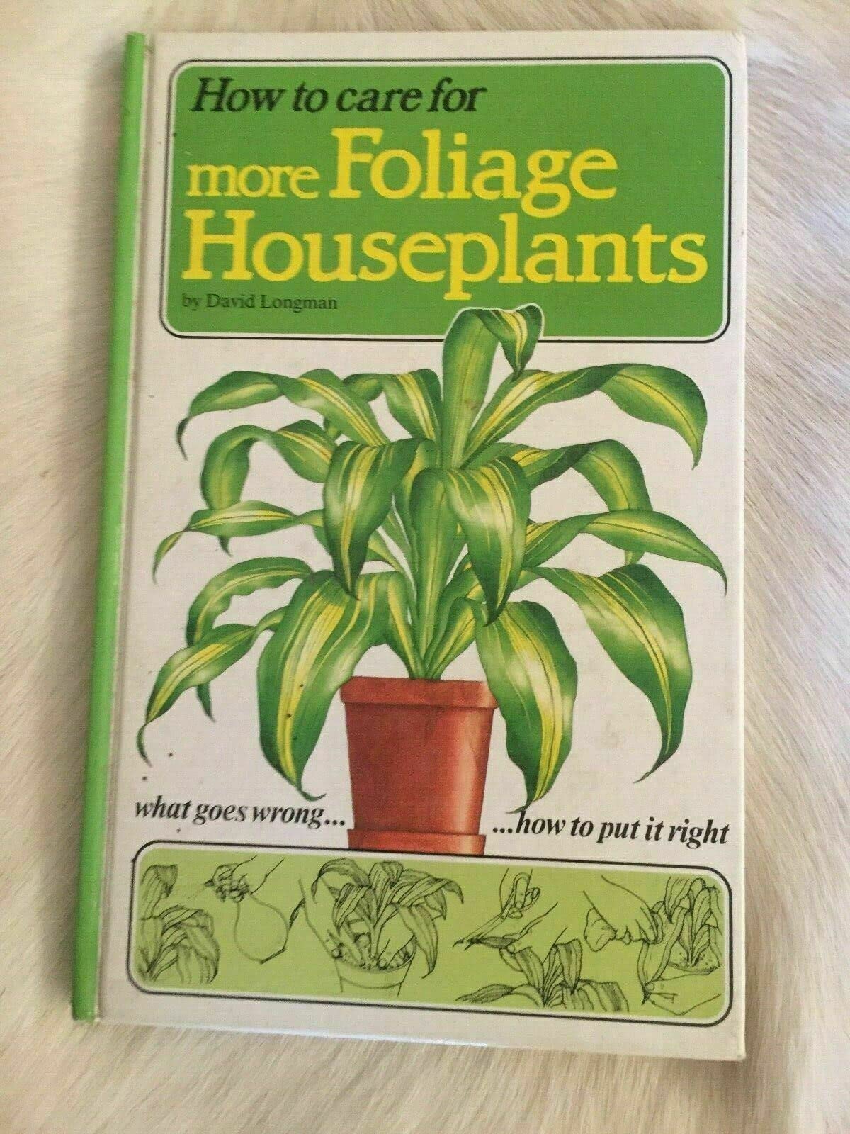 How to Care For More Foliage Houseplants. Books