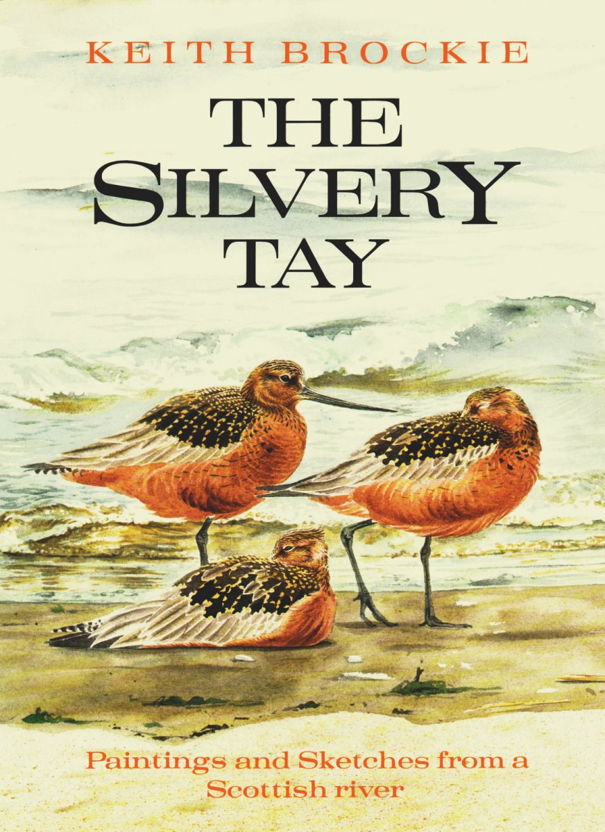 The Silvery Tay: Paintings and Sketches from a Scottish River Film, Art & Culture
