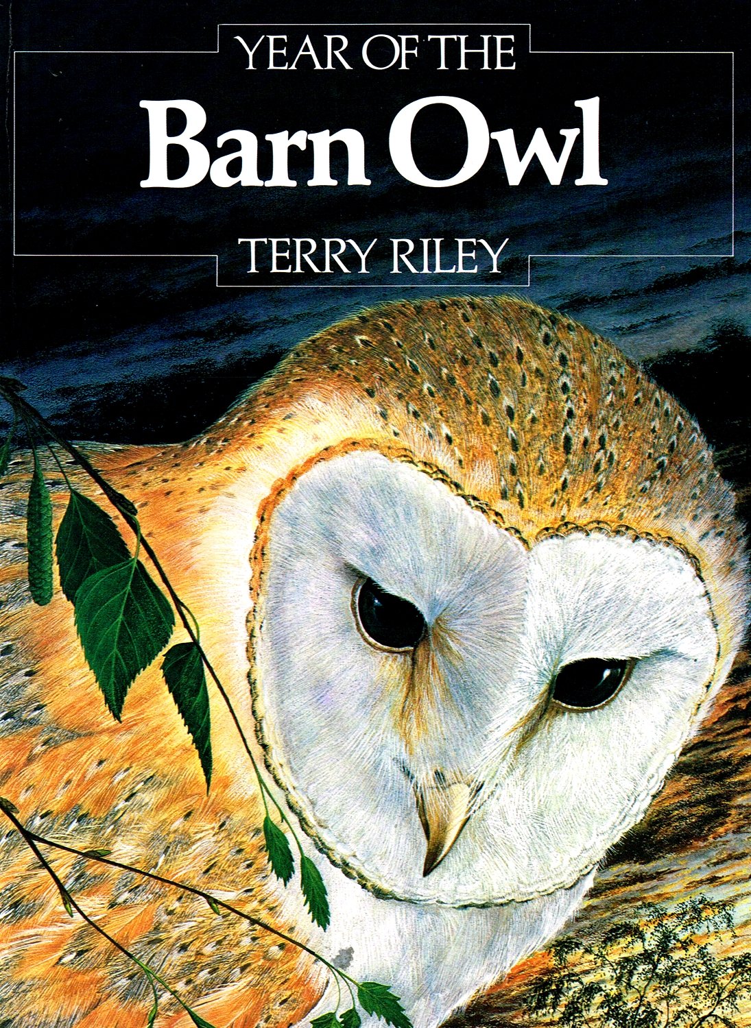 Year of the Barn Owl Non-fiction