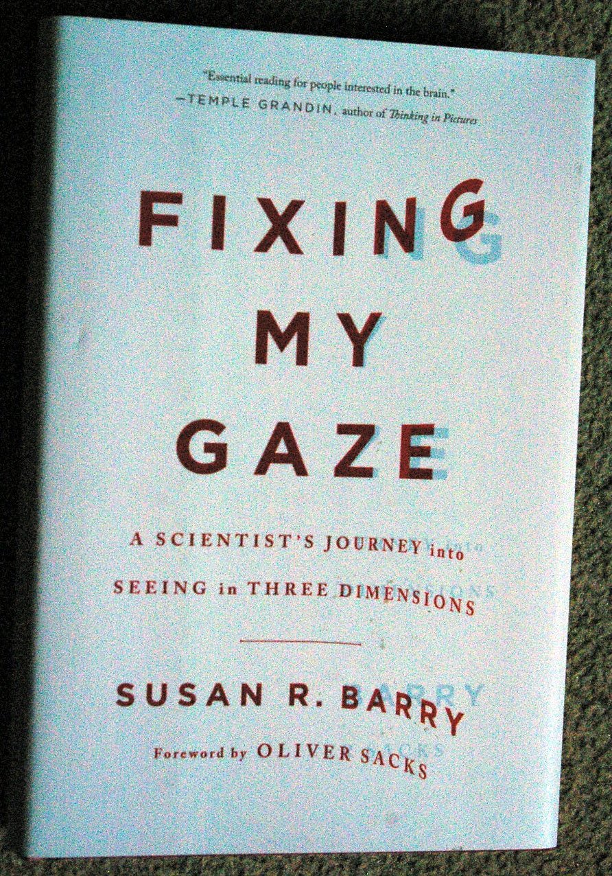 Fixing My Gaze: A Scientist's Journey Into Seeing in Three Dimensions Memories