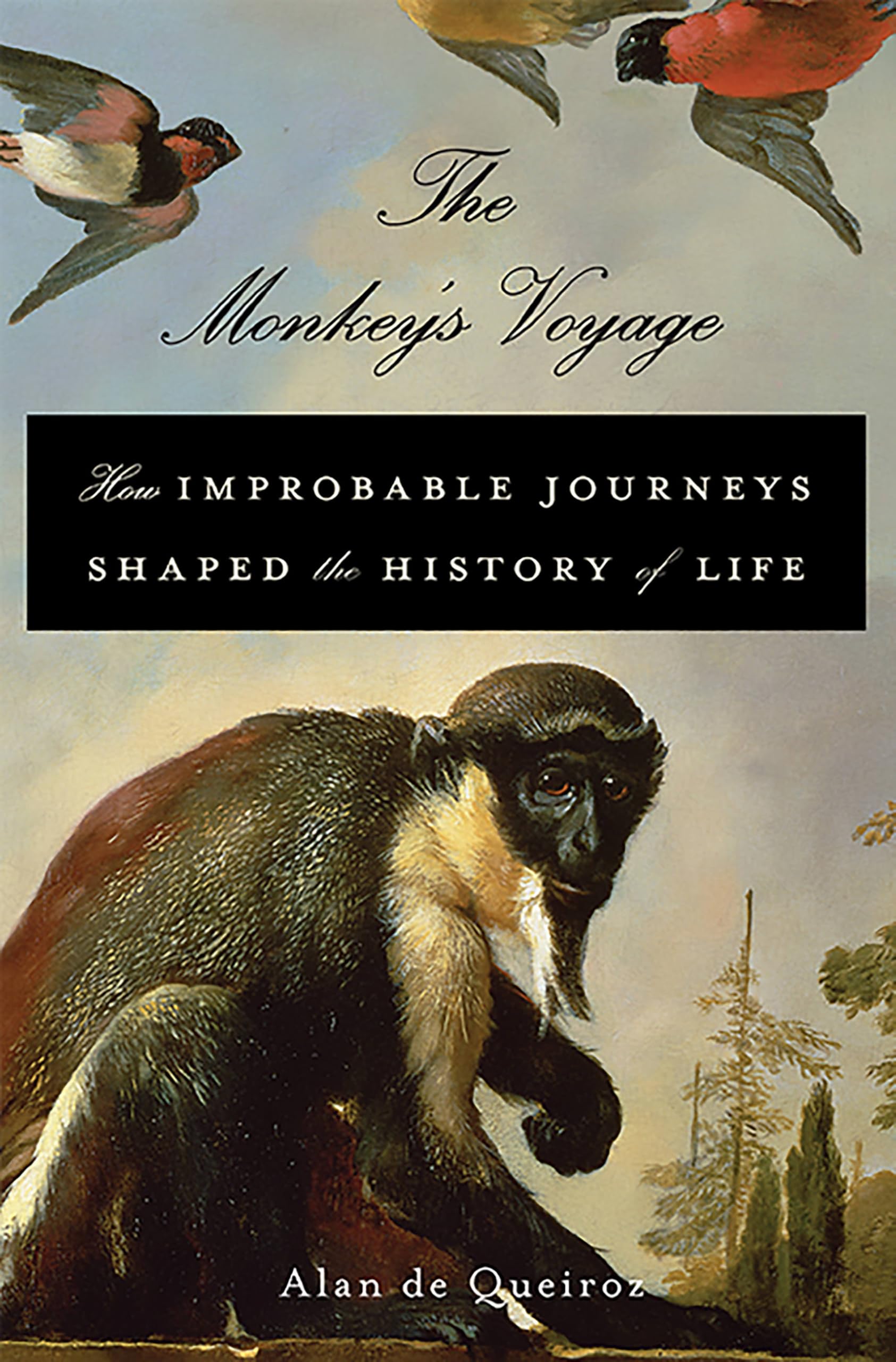 The Monkey's Voyage: How Improbable Journeys Shaped the History of Life book