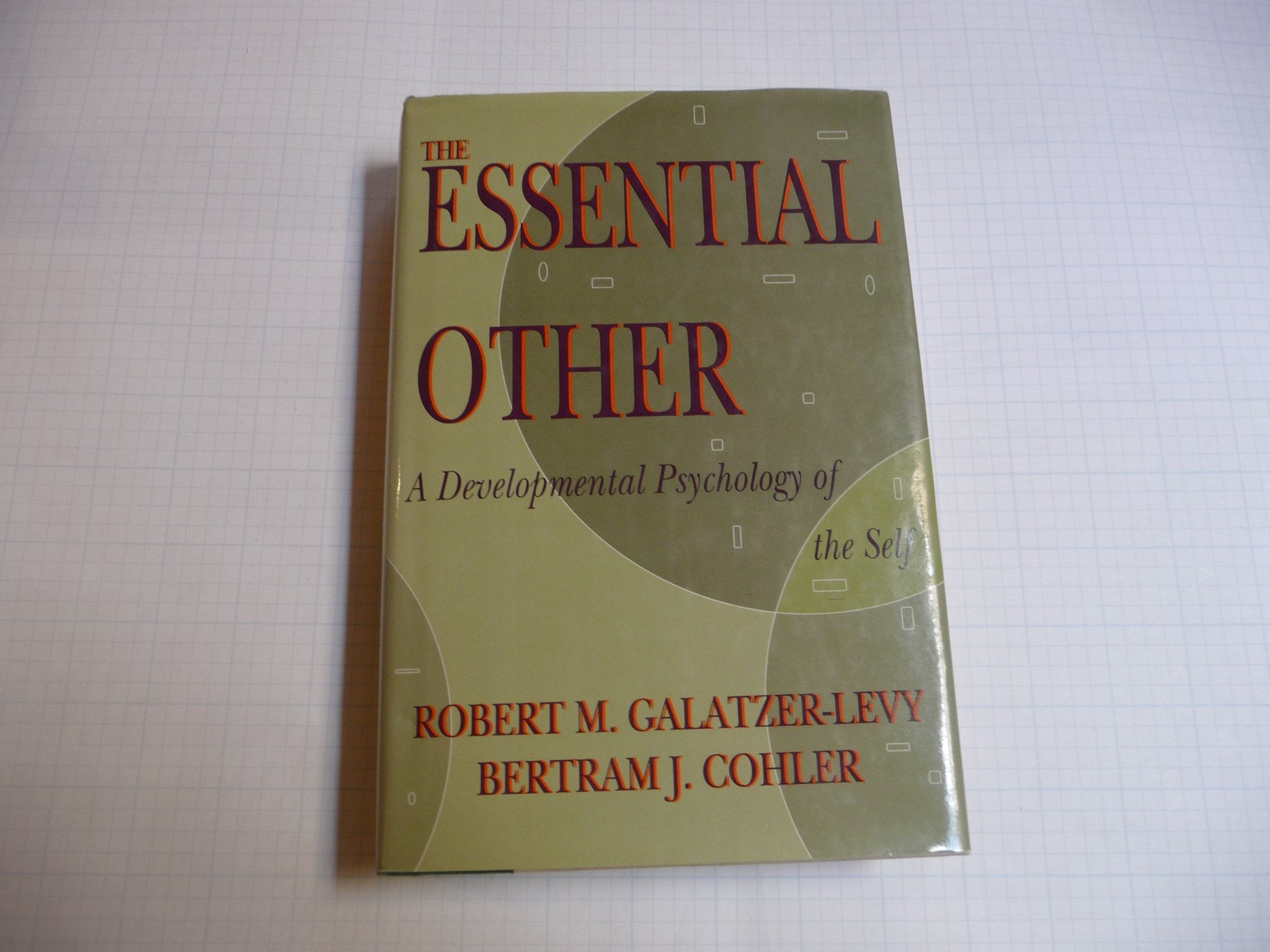 The Essential Other: A Developmental Psychology Of The Self (Basic professional books) Psychology