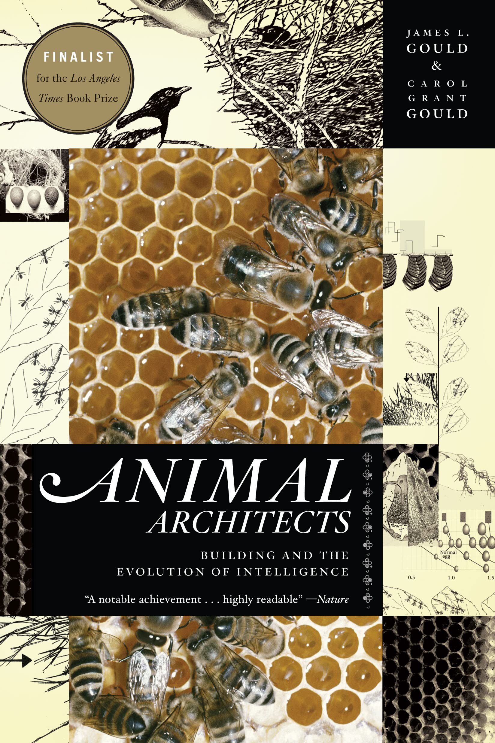 Animal Architects: Building and the Evolution of Intelligence Social Sciences