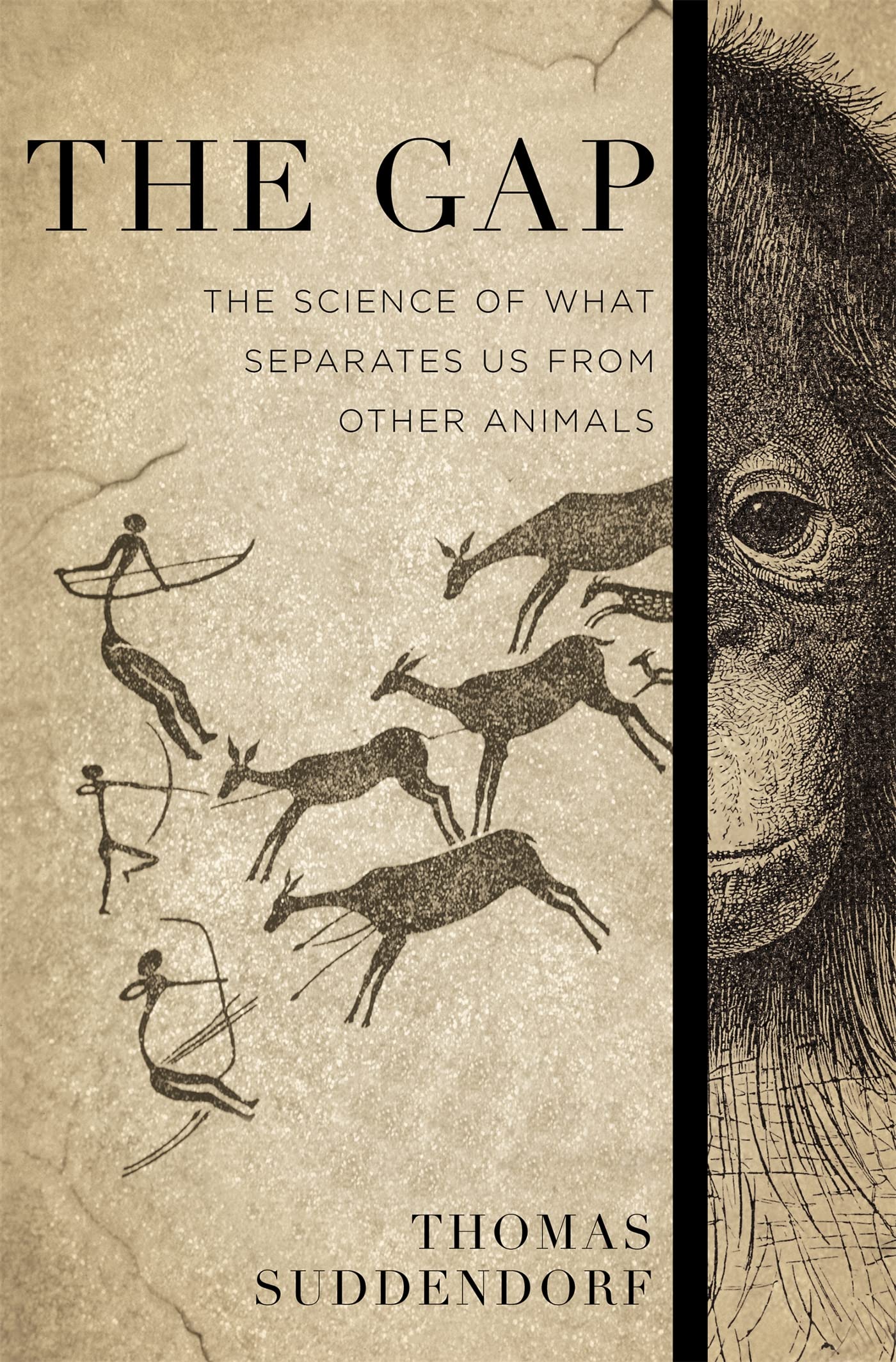 The Gap: The Science of What Separates Us from Other Animals Medicine