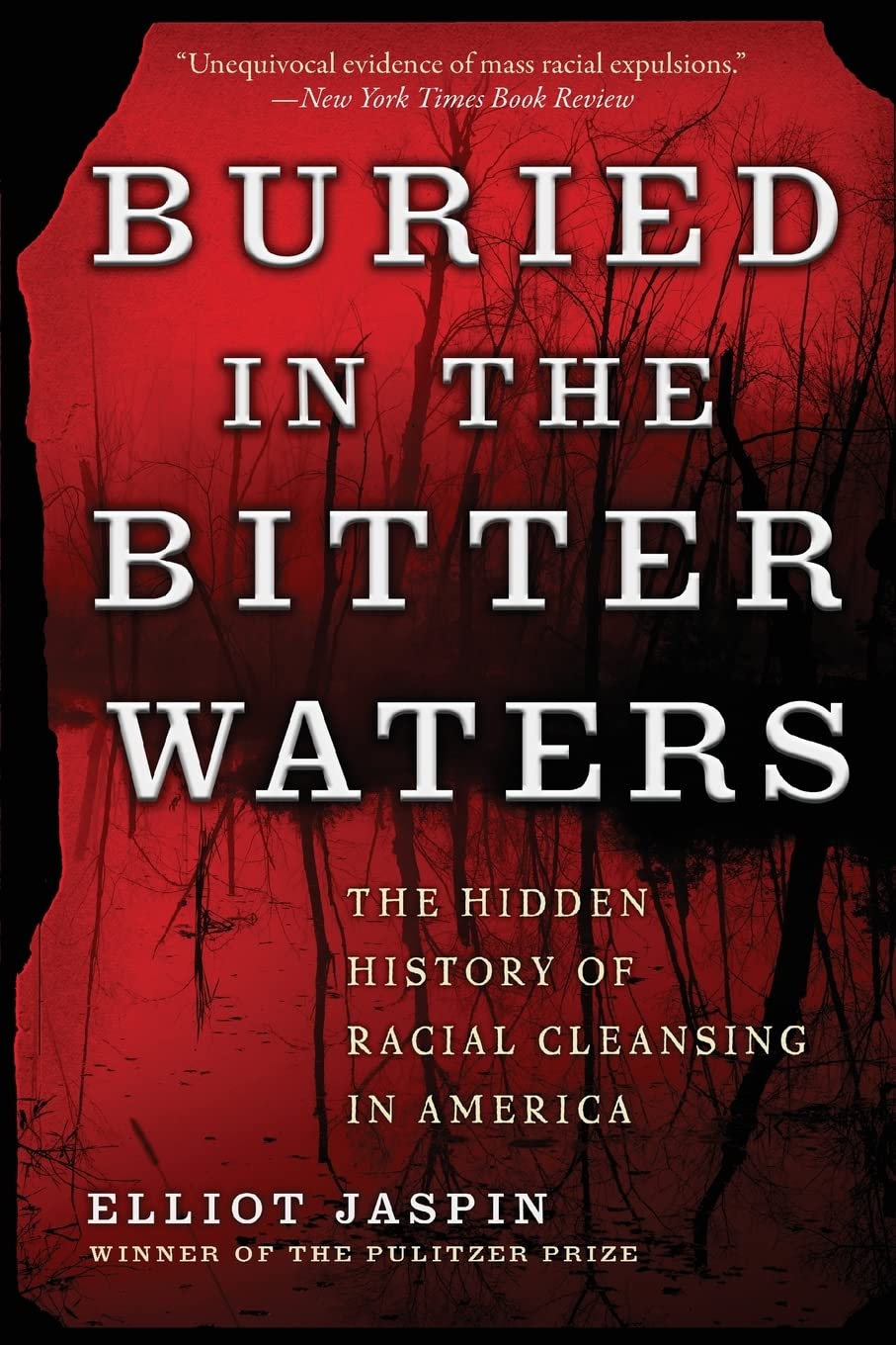 Buried in the Bitter Waters: The Hidden History of Racial Cleansing in America Books