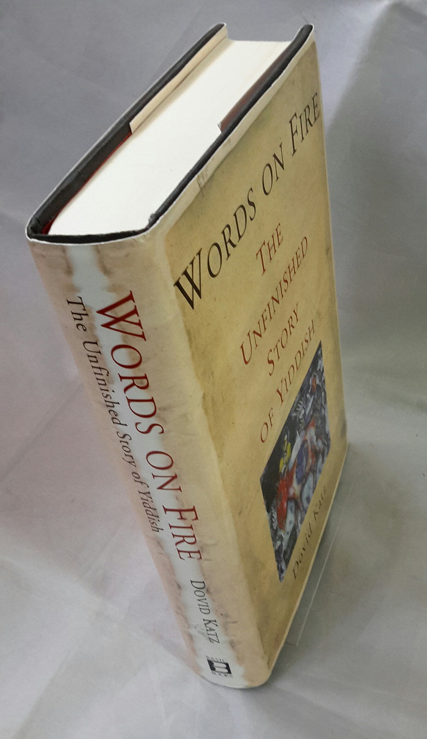 Words on Fire: The Unfinished Story of Yiddish Social Sciences