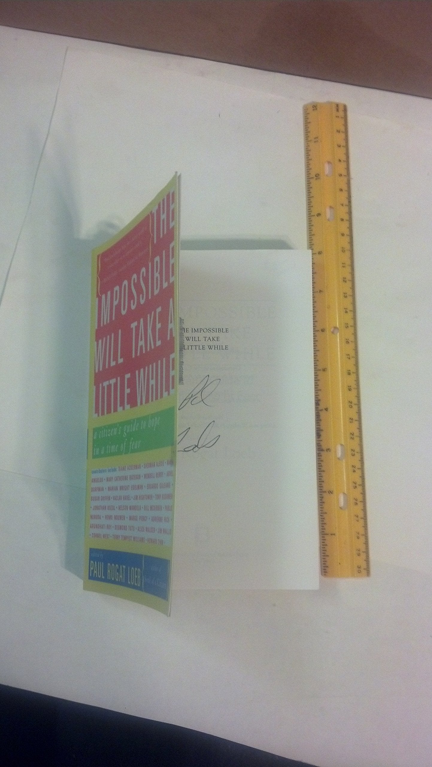 The Impossible Will Take a Little While: A Citizen's Guide to Hope in a Time of Fear Social Sciences