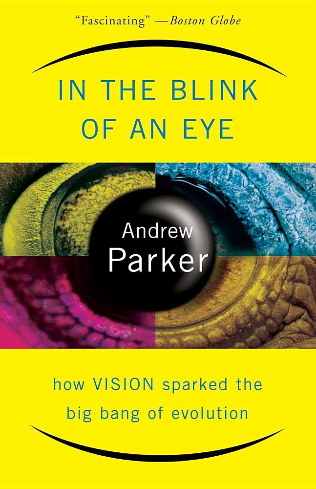 In The Blink Of An Eye: How Vision Sparked The Big Bang Of Evolution Business & Technology