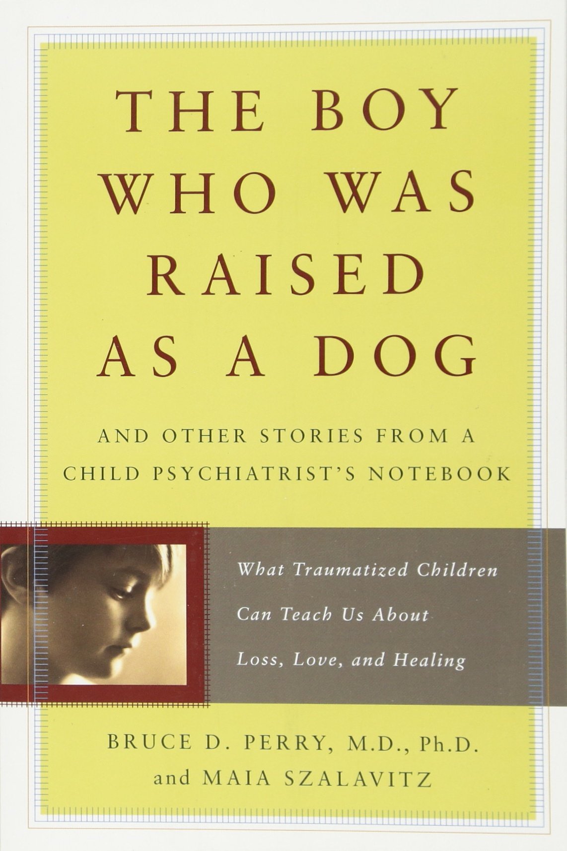 The Boy Who Was Raised as a Dog: And Other Stories from a Child Psychiatrist's Notebook -- What Traumatized Children Can Teach Us About Loss, Love, and Healing Social Sciences