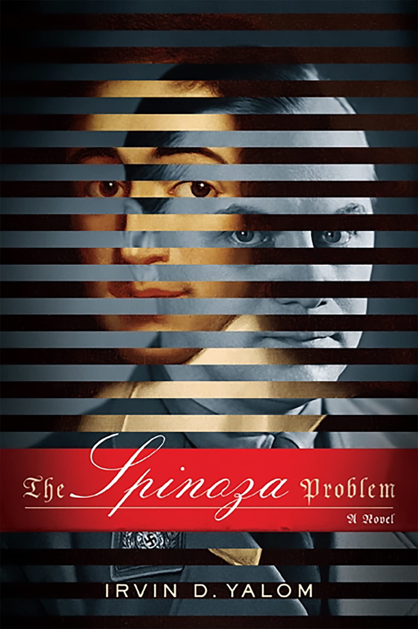The Spinoza Problem Philosophy Books