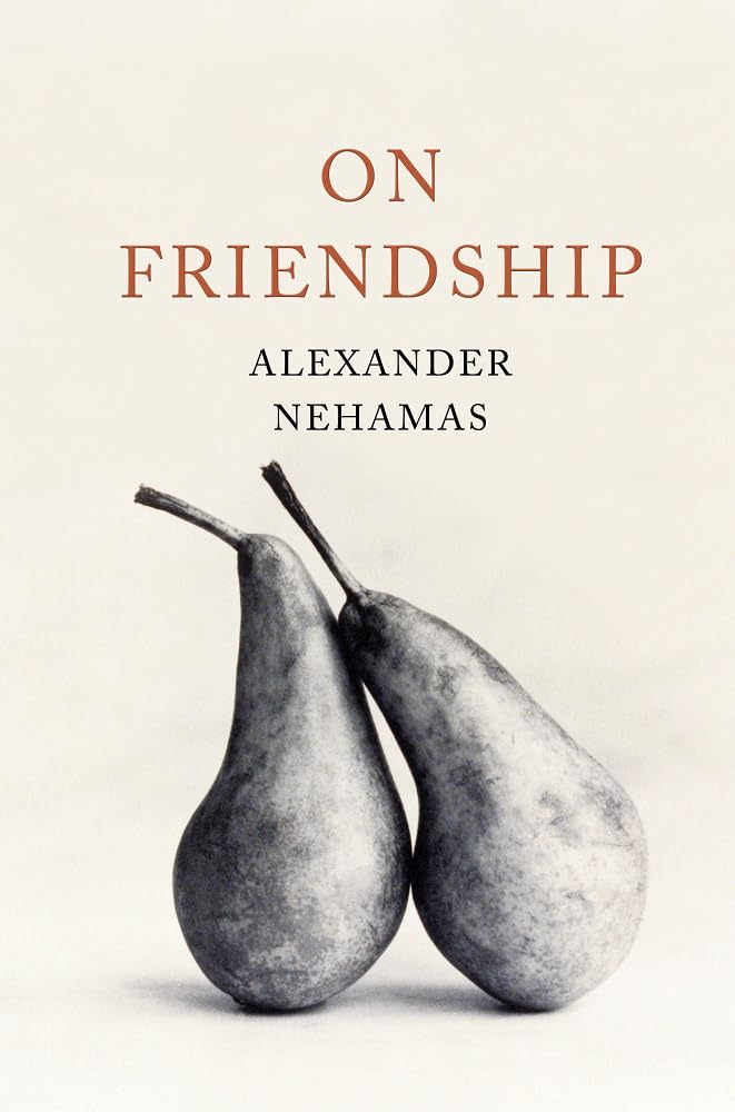 On Friendship Philosophy