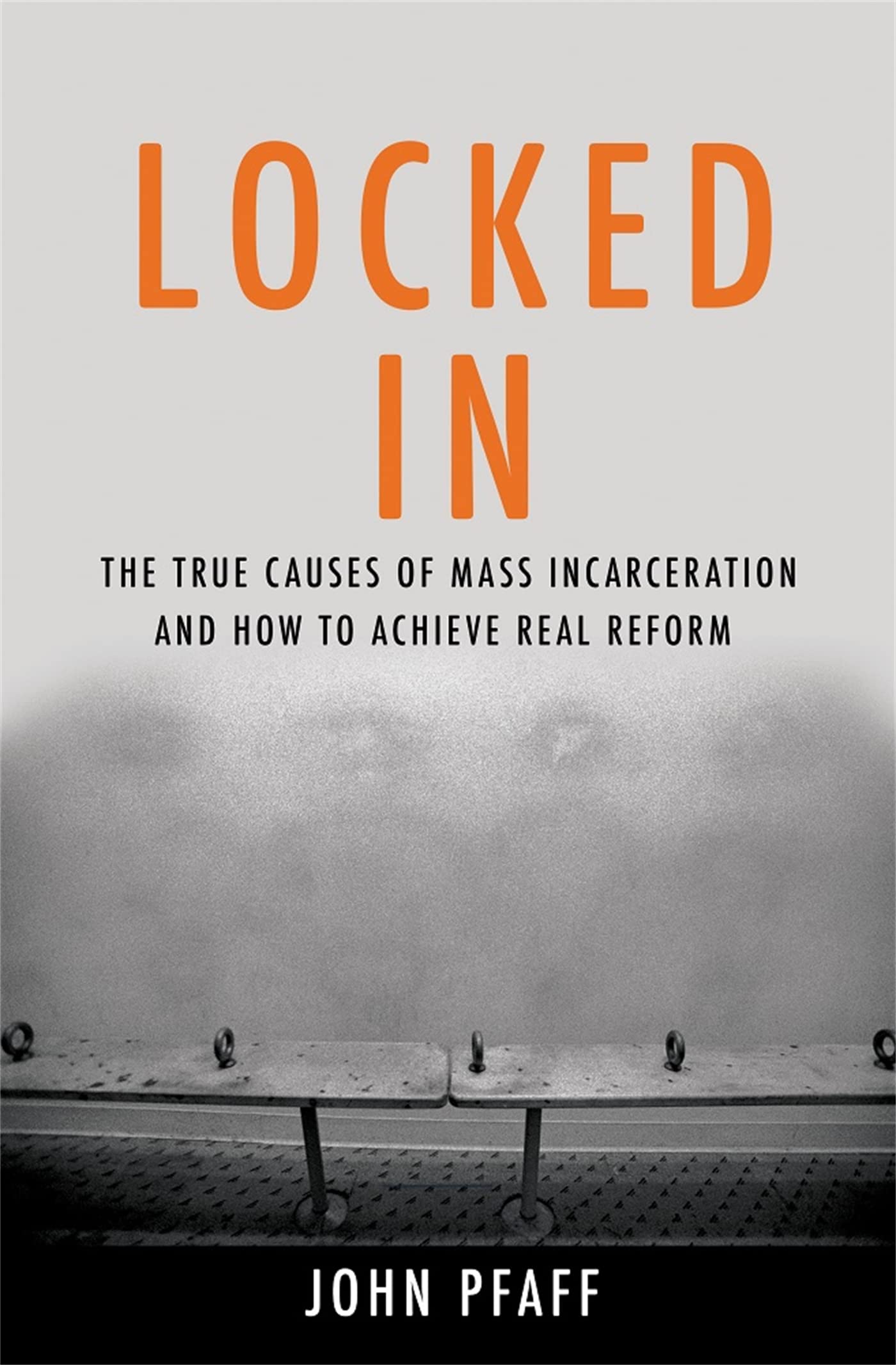 Locked In: The True Causes of Mass Incarceration-and How to Achieve Real Reform Books