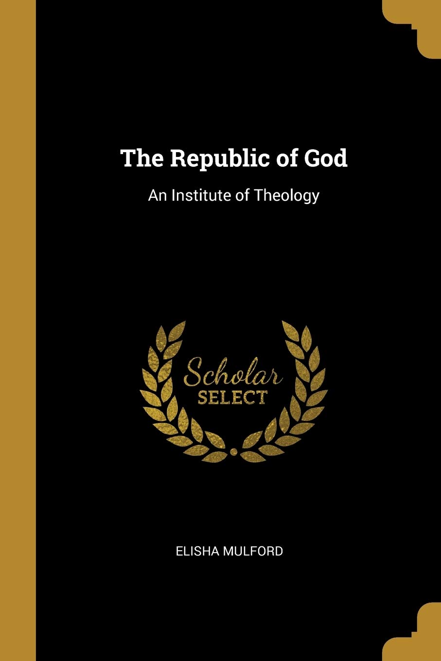 The Republic of God: An Institute of Theology Contemporary literature Books