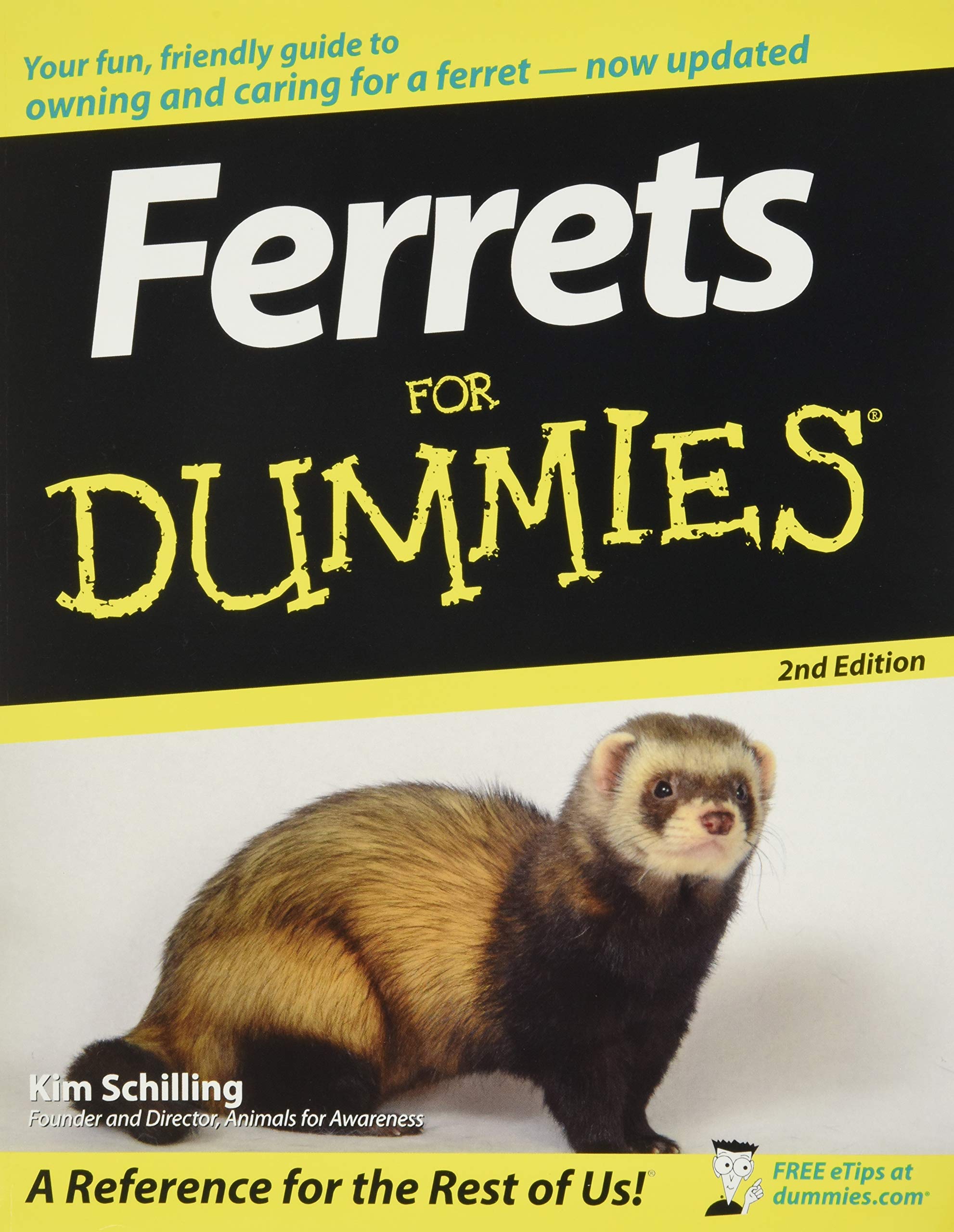 Product Image: Ferrets For Dummies 2e (For Dummies Series)