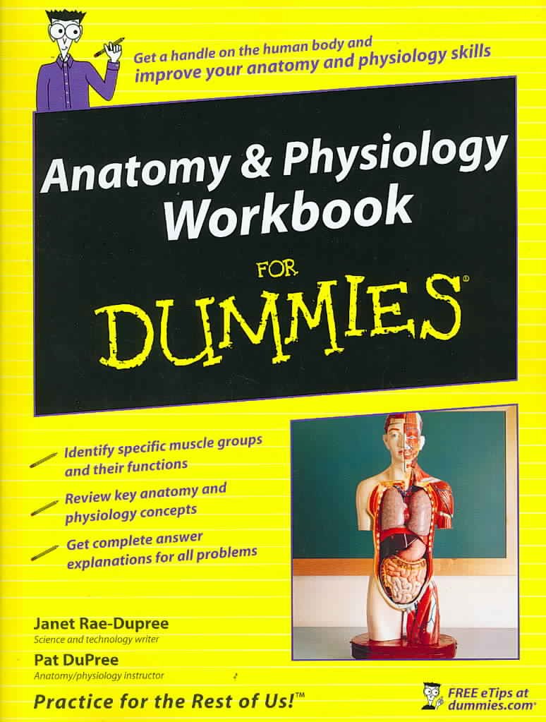 Anatomy & Physiology Workbook For Dummies (For Dummies Series) Medicine