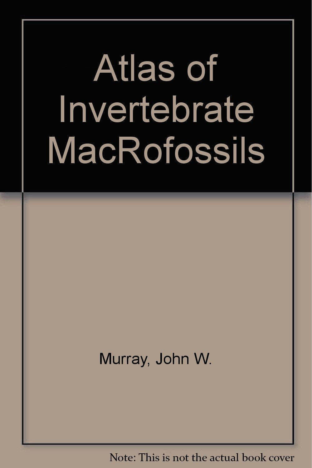 Atlas of Invertebrate MacRofossils Business & Technology