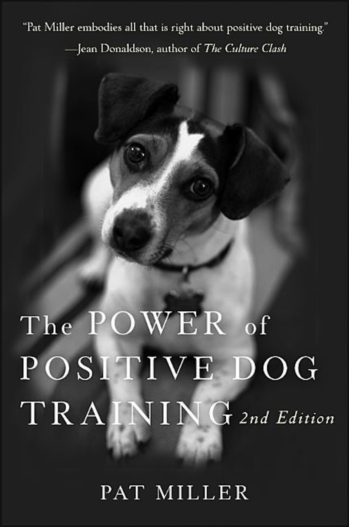 The Power of Positive Dog Training Pets