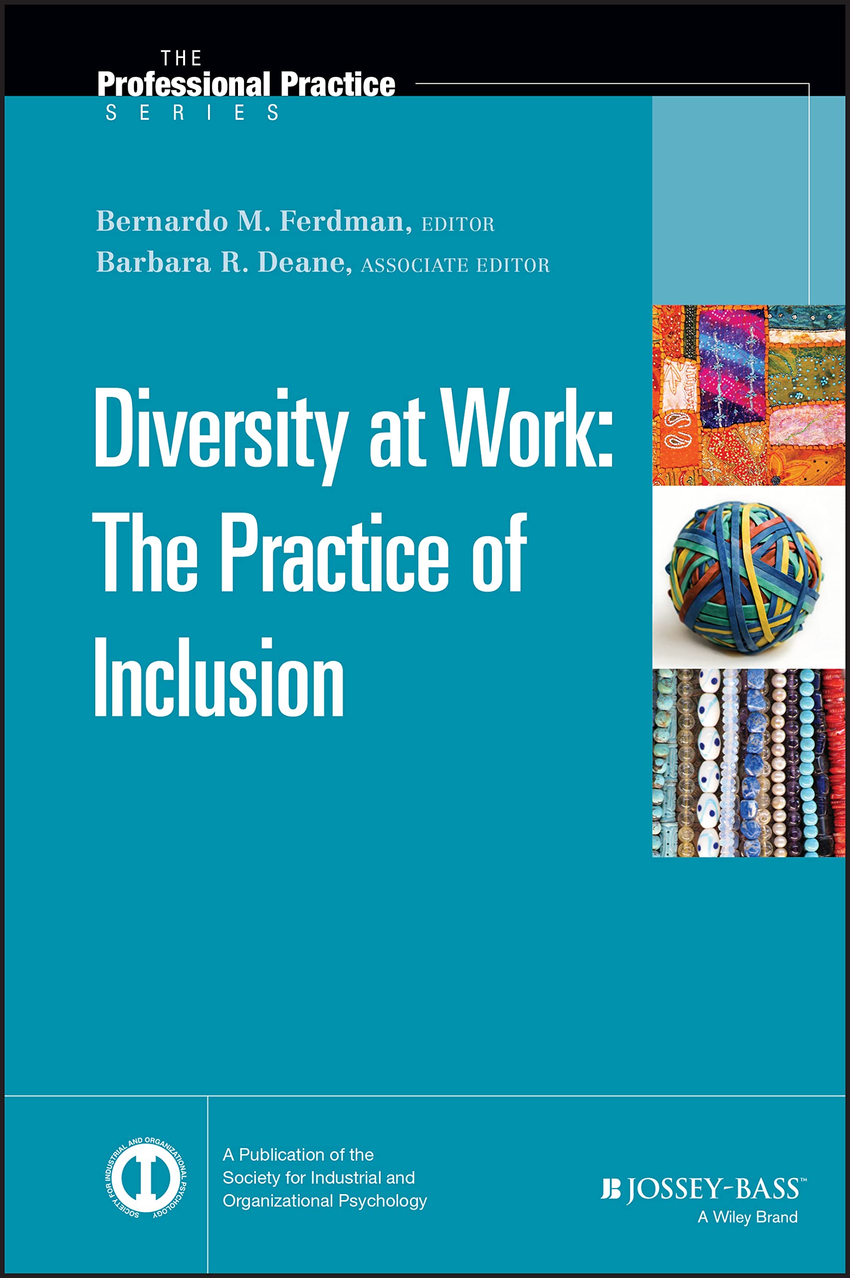 Diversity at Work: The Practice of Inclusion (J-B SIOP Professional Practice Series, Band 33) Law
