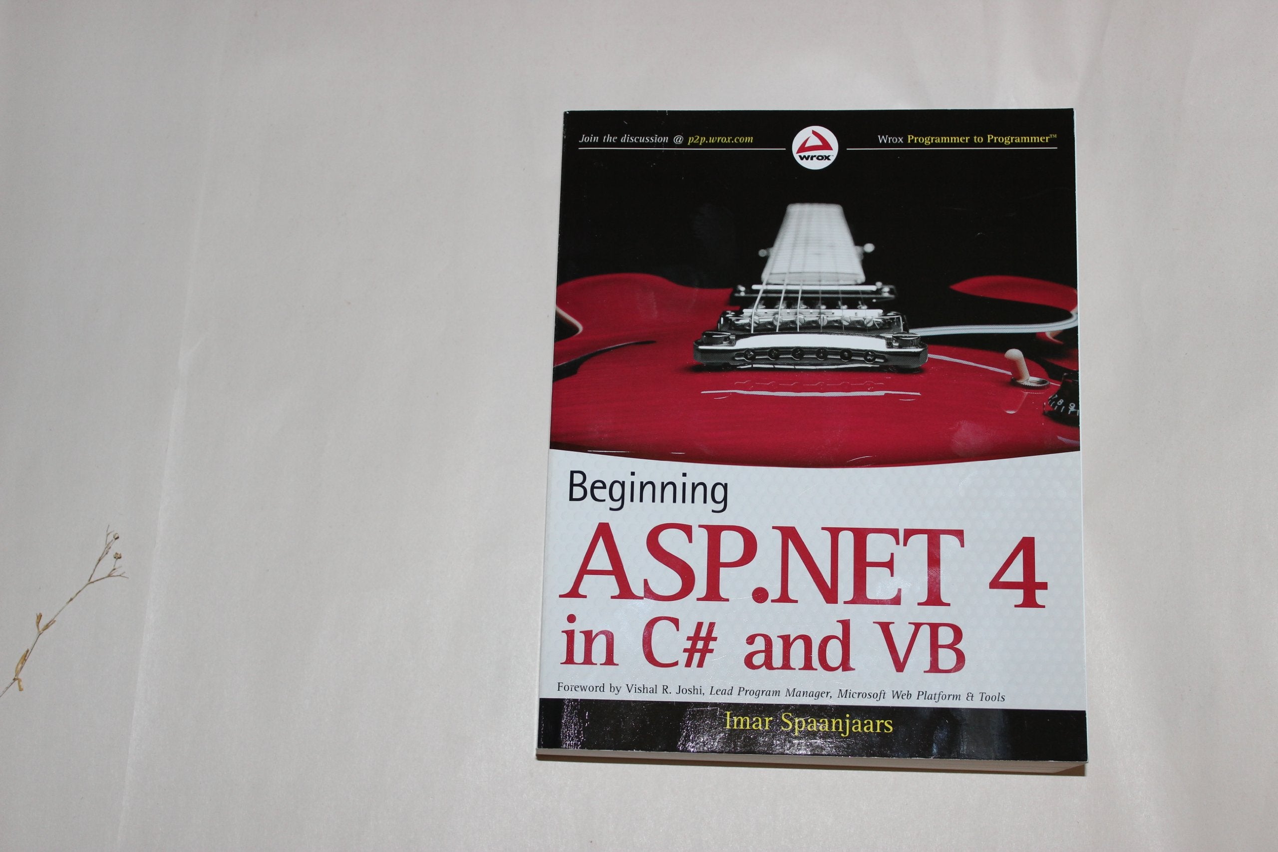 Beginning ASP.NET 4: In C# and VB Computer Science Books