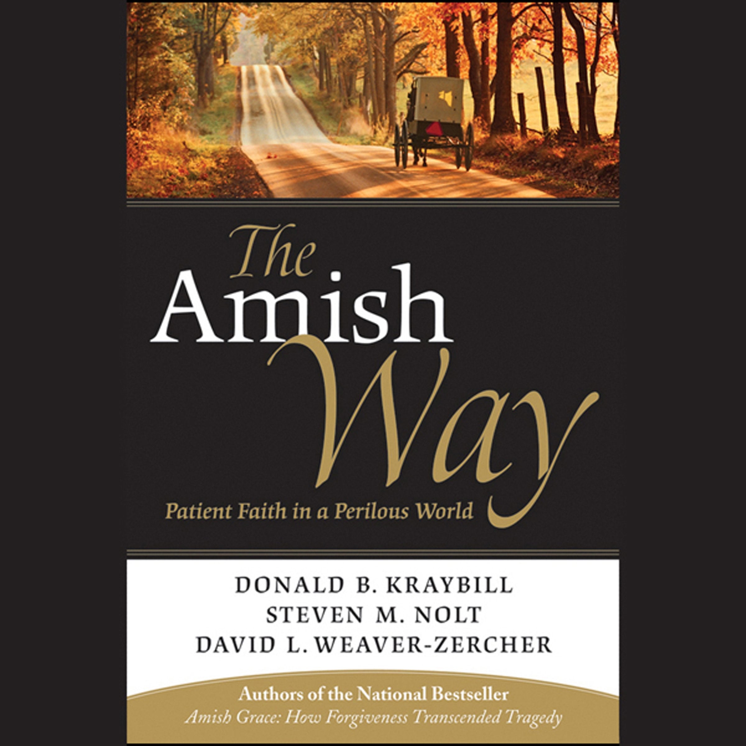 The Amish Way: Patient Faith in a Perilous World Religion & Esotericism
