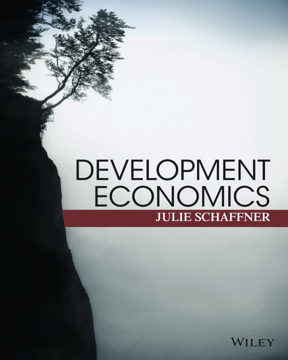 Development Economics: Theory, Empirical Research, and Policy Analysis book