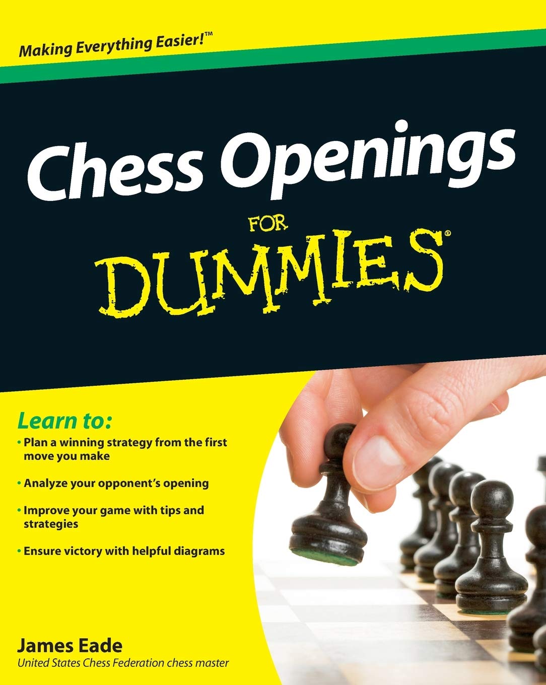 Chess Openings For Dummies Leisure & Fun