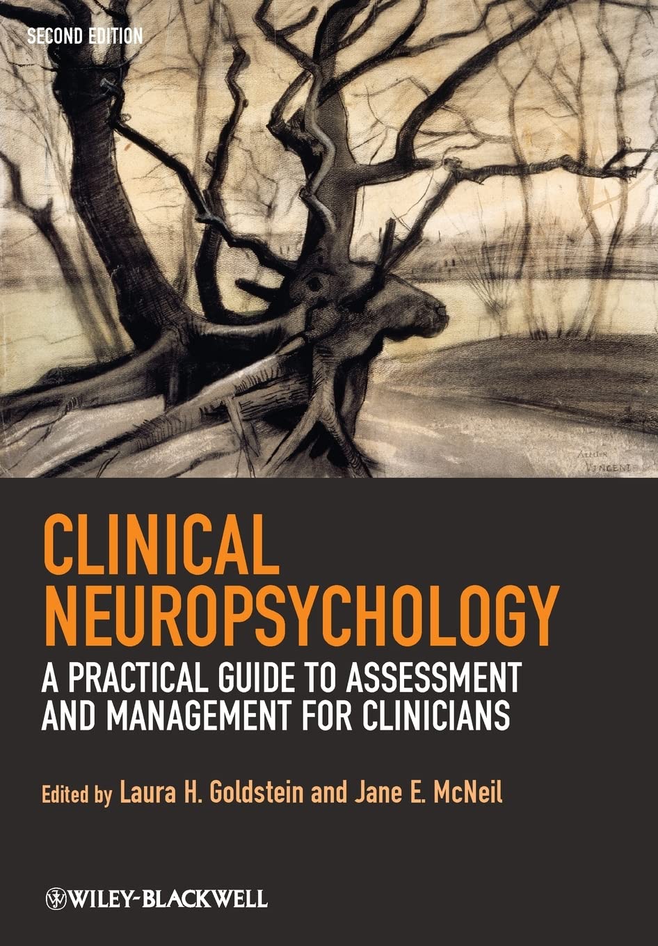 Clinical Neuropsychology: A Practical Guide to Assessment and Management for Clinicians Business, Finance & Career