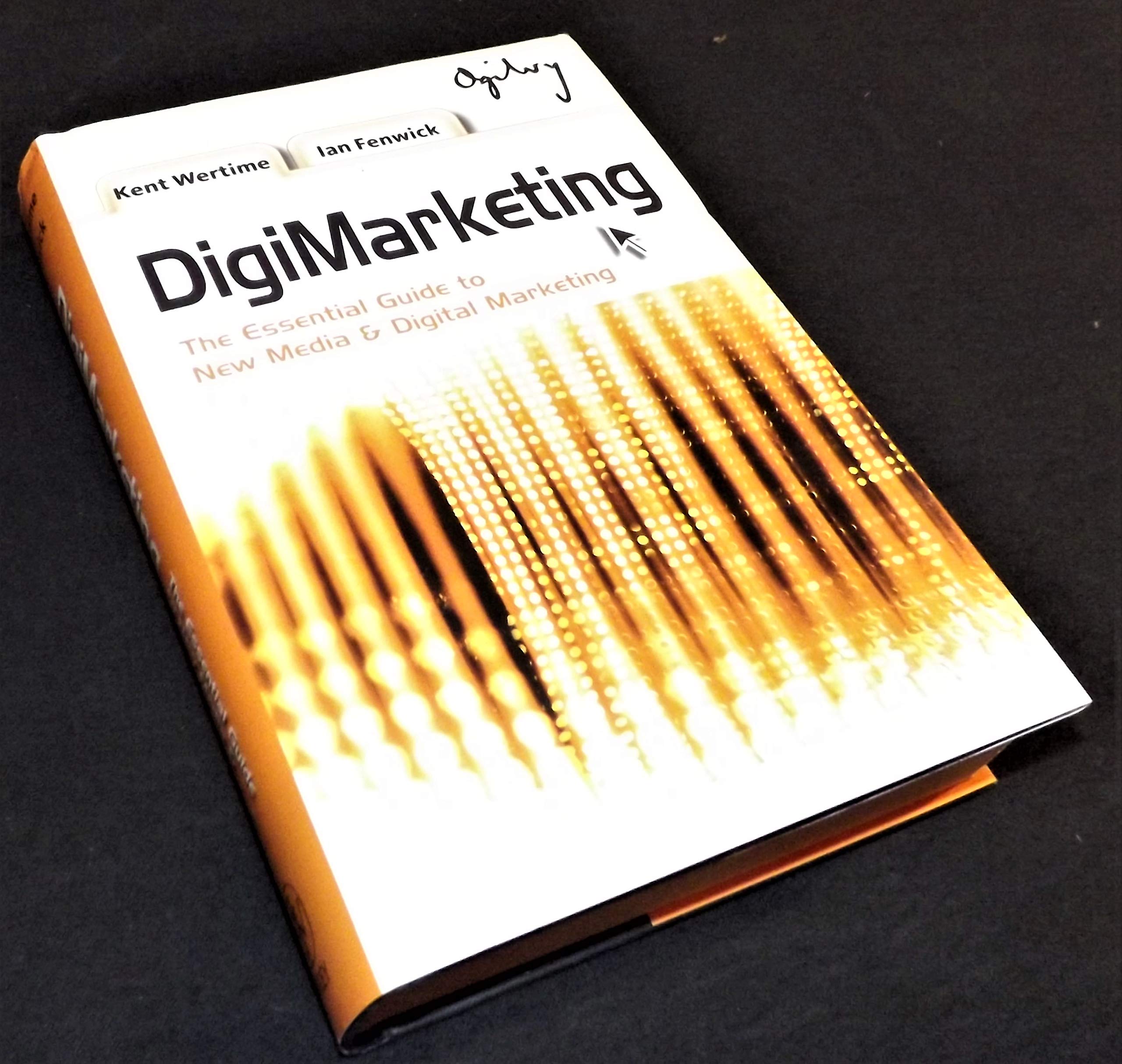 DigiMarketing: The Essential Guide to New Media and Digital Marketing Business, Finance & Career
