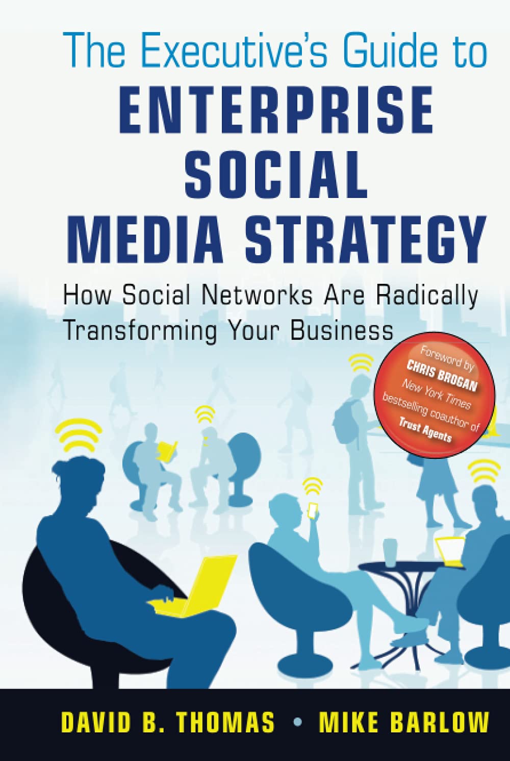 The Executive's Guide to Enterprise Social Media Strategy Law