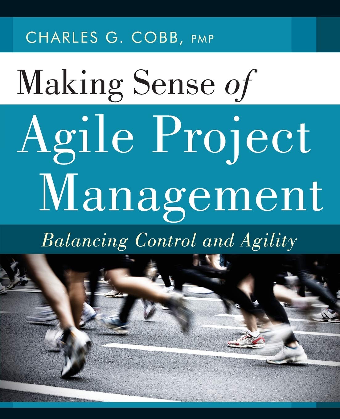 Making Sense of Agile Project Management: Balancing Control and Agility Business, Finance & Career