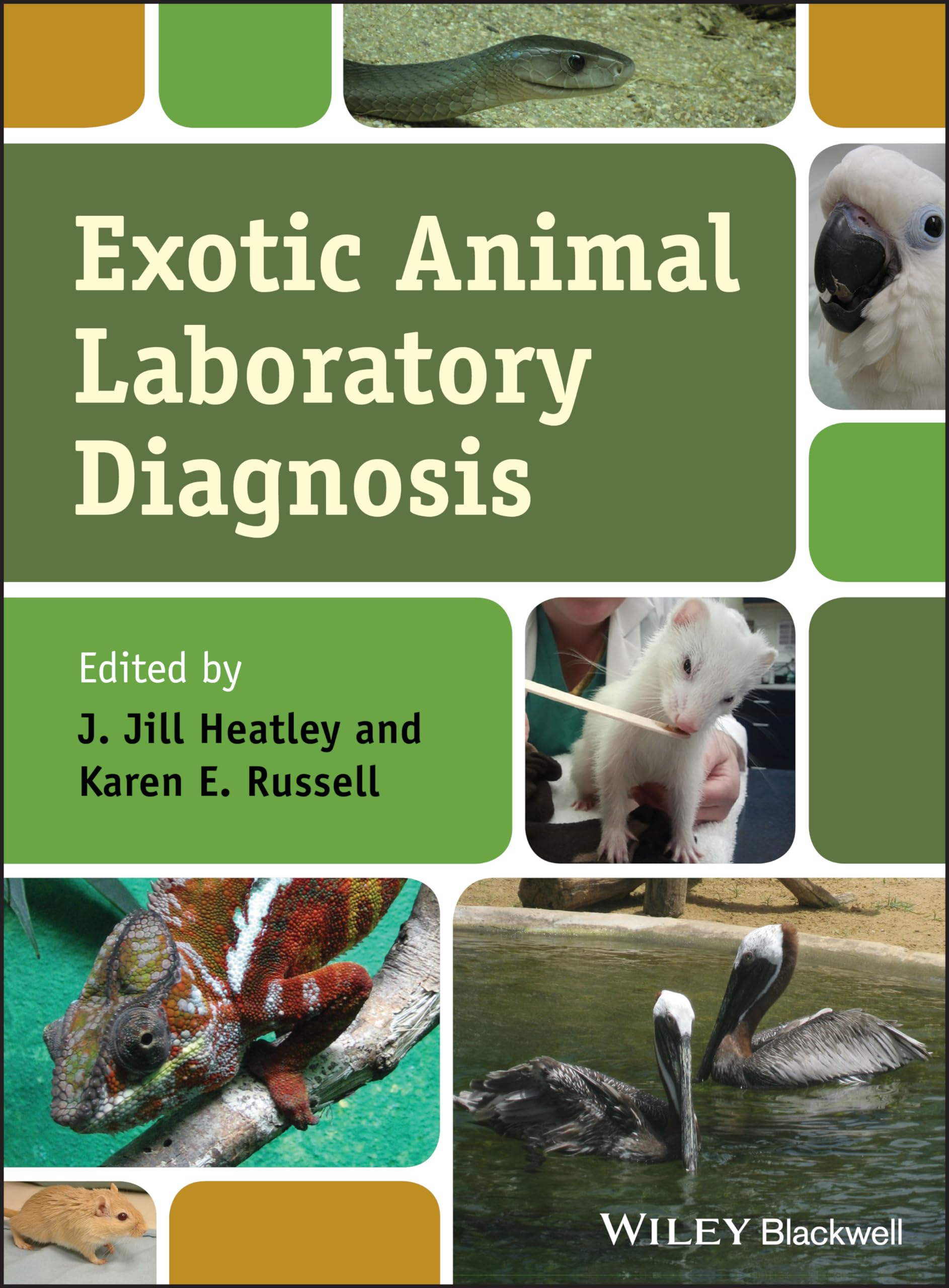 Exotic Animal Laboratory Diagnosis Medicine