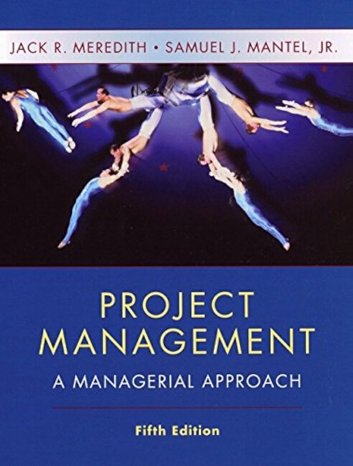Project Management: A Managerial Approach Business, Finance & Career