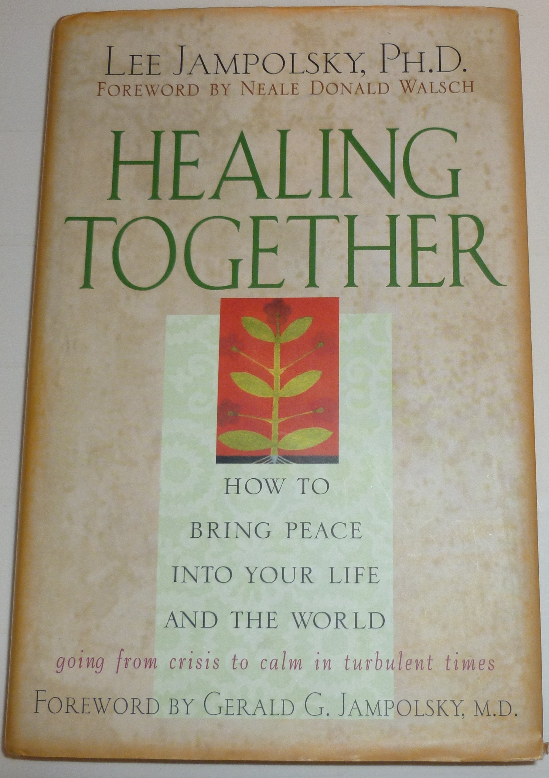 Healing Together: How to Bring Peace into Your Life and the World Lifestyle