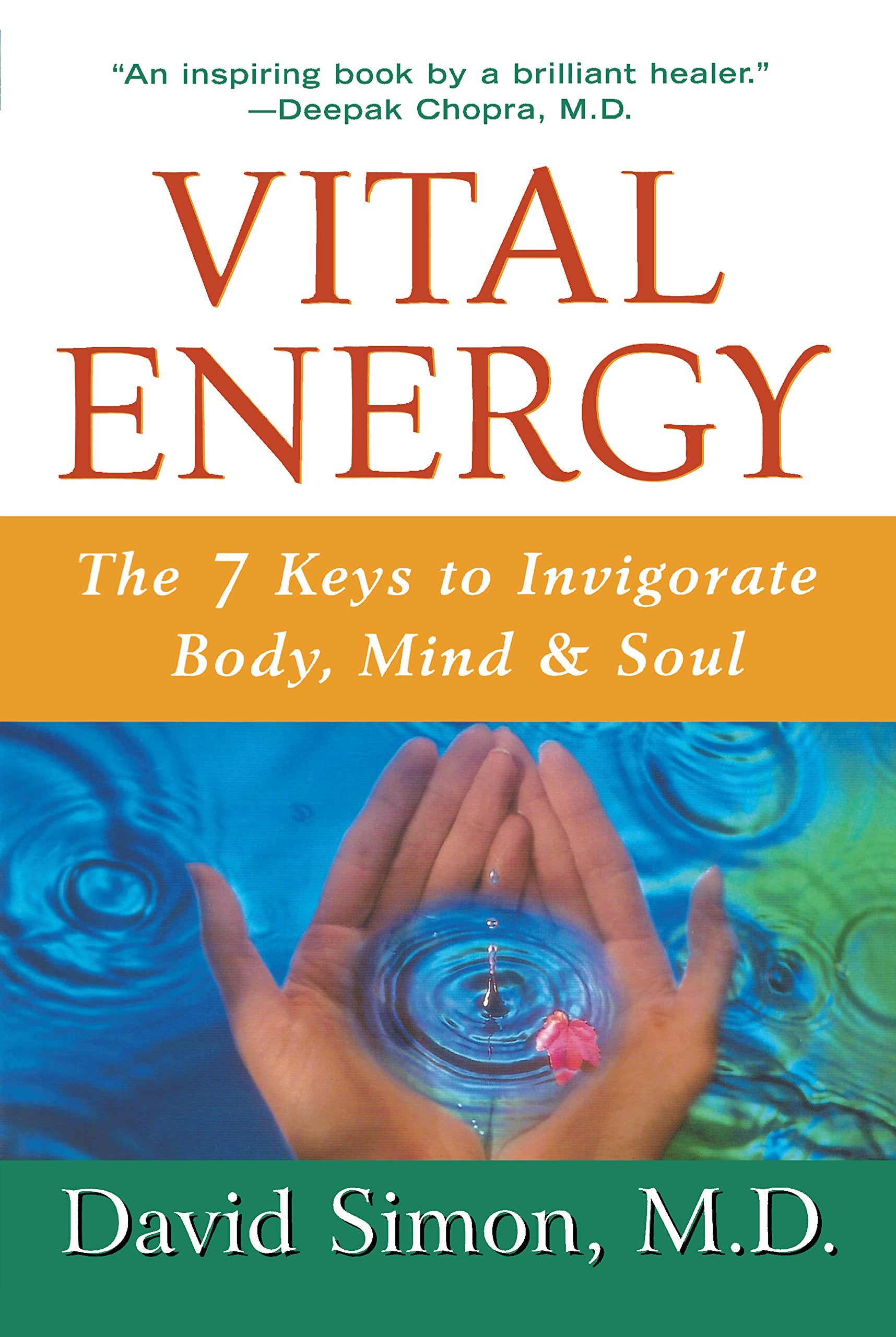 Vital Energy: The 7 Keys to Invigorate Body, Mind, and Soul Business, Finance & Career