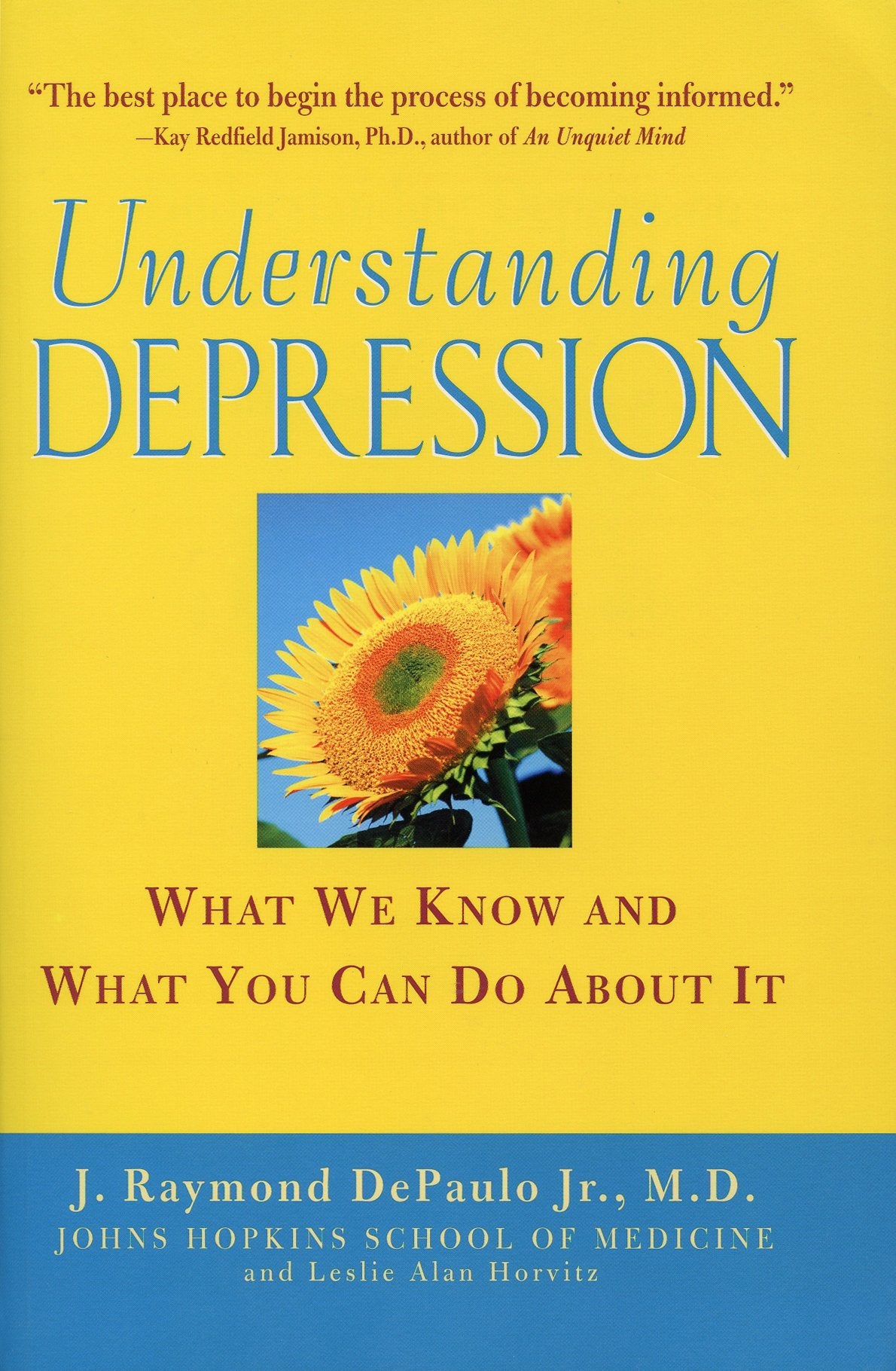 Understanding Depression: What We Know and What You Can Do About It: What We Know and What You Can Do About It book