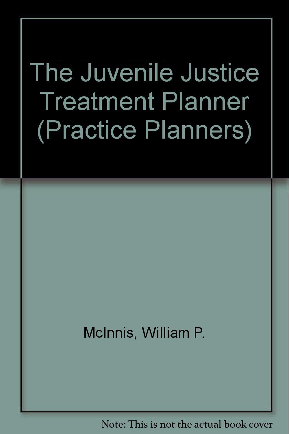 The Juvenile Justice and Residential Care Treatment Planner (Practiceplanners, Band 95) Psychology
