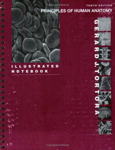 Principles of Human Anatomy: Illustrated Notebook Medicine